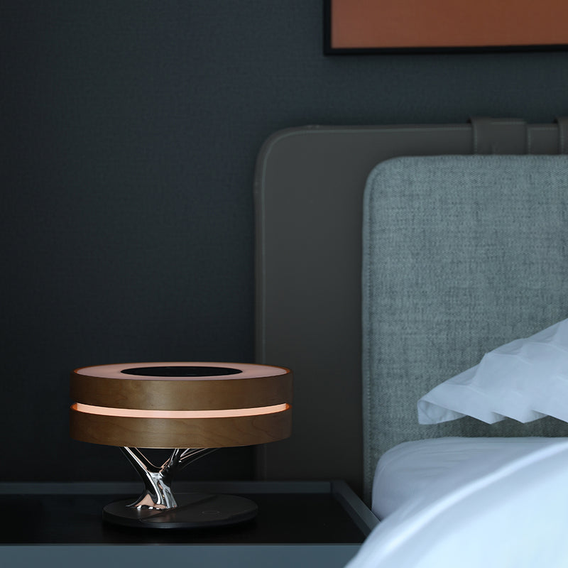 HomeTree Bluetooth Table Lamp in Round