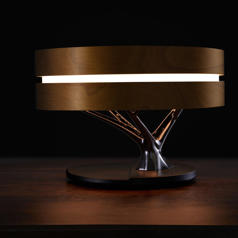 HomeTree Bluetooth Table Lamp in Round