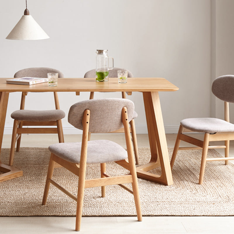 Jase Modern Dining Chair (set of 2)