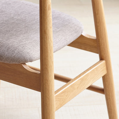 Jase Modern Dining Chair (set of 2)