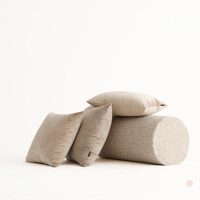 Gerta Velvet Throw Pillow Cover & Insert